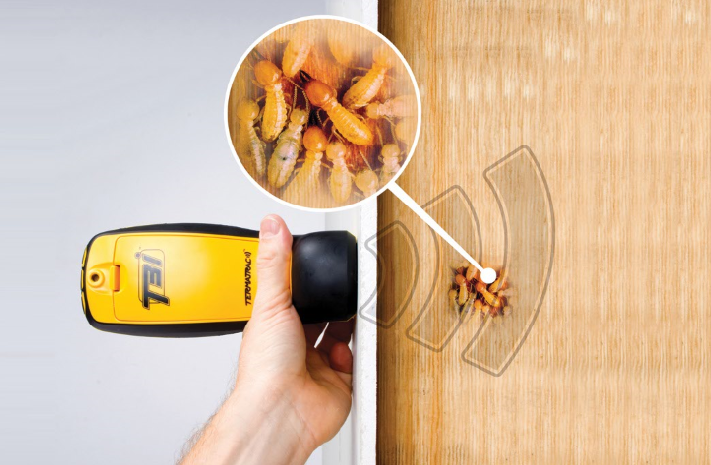 Safeguard your home against termites with Safer Home Services Guaranteed Termite Protection. 

Every technician is equipped with the Termatrac T3i Termite Radar, to pinpoint areas of infestation in the home. 

Schedule your termite inspection today! saferhomeservices.com