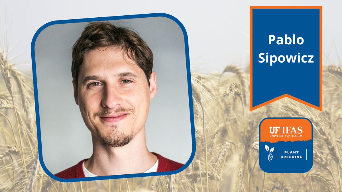 UF/IFAS-PlantBreeding (@ufplantbreeding) on Twitter photo Pablo was an alfalfa breeding researcher, INTA, Argentina. He has a MS in plant genetics & breeding, Universidad Politecnica de Valencia, Spain. Pablo received the esteemed CALS Dean’s Award to work w/ Dr. Esteban Rios <a href="/UFIFASAgronomy/">Agronomy at UF</a>, forage breeding & genetics program 🧵4/8 Pablo was an alfalfa breeding researcher, INTA, Argentina. He has a MS in plant genetics & breeding, Universidad Politecnica de Valencia, Spain. Pablo received the esteemed CALS Dean’s Award to work w/ Dr. Esteban Rios <a href="/UFIFASAgronomy/">Agronomy at UF</a>, forage breeding & genetics program 🧵4/8