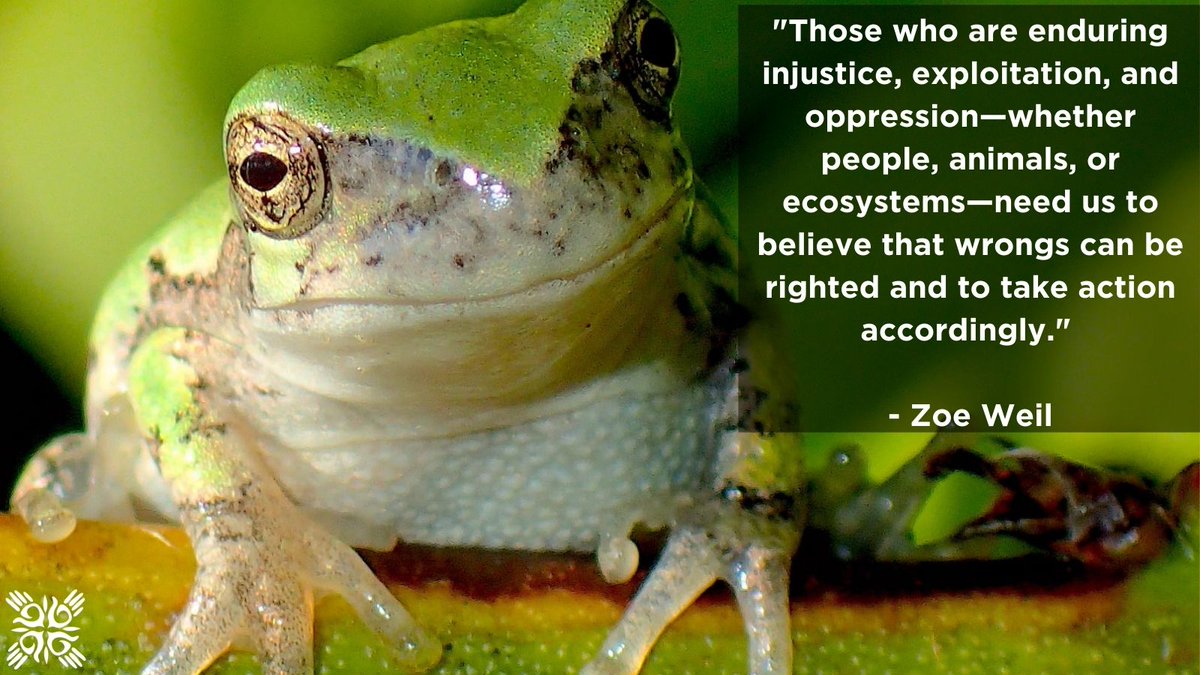 Institute for Humane Education (@humaneeducation) on Twitter photo "It's important to attend to what is good in the world in order to build upon it and remain hopeful and empowered."
<a href="/inspirecitizen1/">Steve Sostak</a> <a href="/mrkempnz/">Craig Kemp</a> <a href="/Kbahri5/">Kellie Bahri</a> <a href="/heymrsbond/">The Madwoman in the Classroom</a> <a href="/TeacherMoise/">Rebecca Moise</a> <a href="/cpoole27/">Chuck Poole</a> <a href="/AntiochU/">Antioch University</a> <a href="/MHEducation/">McGraw Hill</a>
Read Zoe's inspiring new blog post here: bit.ly/3zOP6SA "It's important to attend to what is good in the world in order to build upon it and remain hopeful and empowered."
<a href="/inspirecitizen1/">Steve Sostak</a> <a href="/mrkempnz/">Craig Kemp</a> <a href="/Kbahri5/">Kellie Bahri</a> <a href="/heymrsbond/">The Madwoman in the Classroom</a> <a href="/TeacherMoise/">Rebecca Moise</a> <a href="/cpoole27/">Chuck Poole</a> <a href="/AntiochU/">Antioch University</a> <a href="/MHEducation/">McGraw Hill</a>
Read Zoe's inspiring new blog post here: bit.ly/3zOP6SA