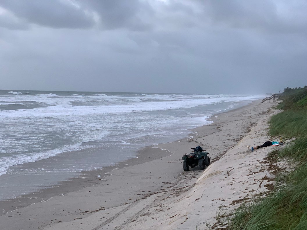 erin_seney's tweet image. The hard-working #UCFTurtleLab crew will continue surveys well into November to find late-season #seaturtle nests + conduct inventories in the winter. Please give them a wave if you see them out in on Brevard County beaches! #FieldWork #UCF #SeaTurtleLicensePlate #TurtleThursday