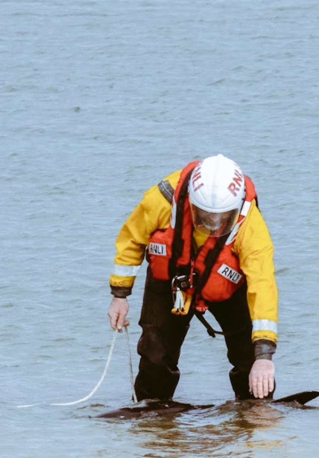 Elviscourtmac's tweet photo. Courtmacsherry Harbour Lifeboat was called to aid a dolphin who got lost  this morning @initandthat #RNLI photos with thanks by @GearoidHolland  Two other gentlemen also very kindly participated in guiding our little friend back out to sea. https://t.co/C9r8u1jlaN