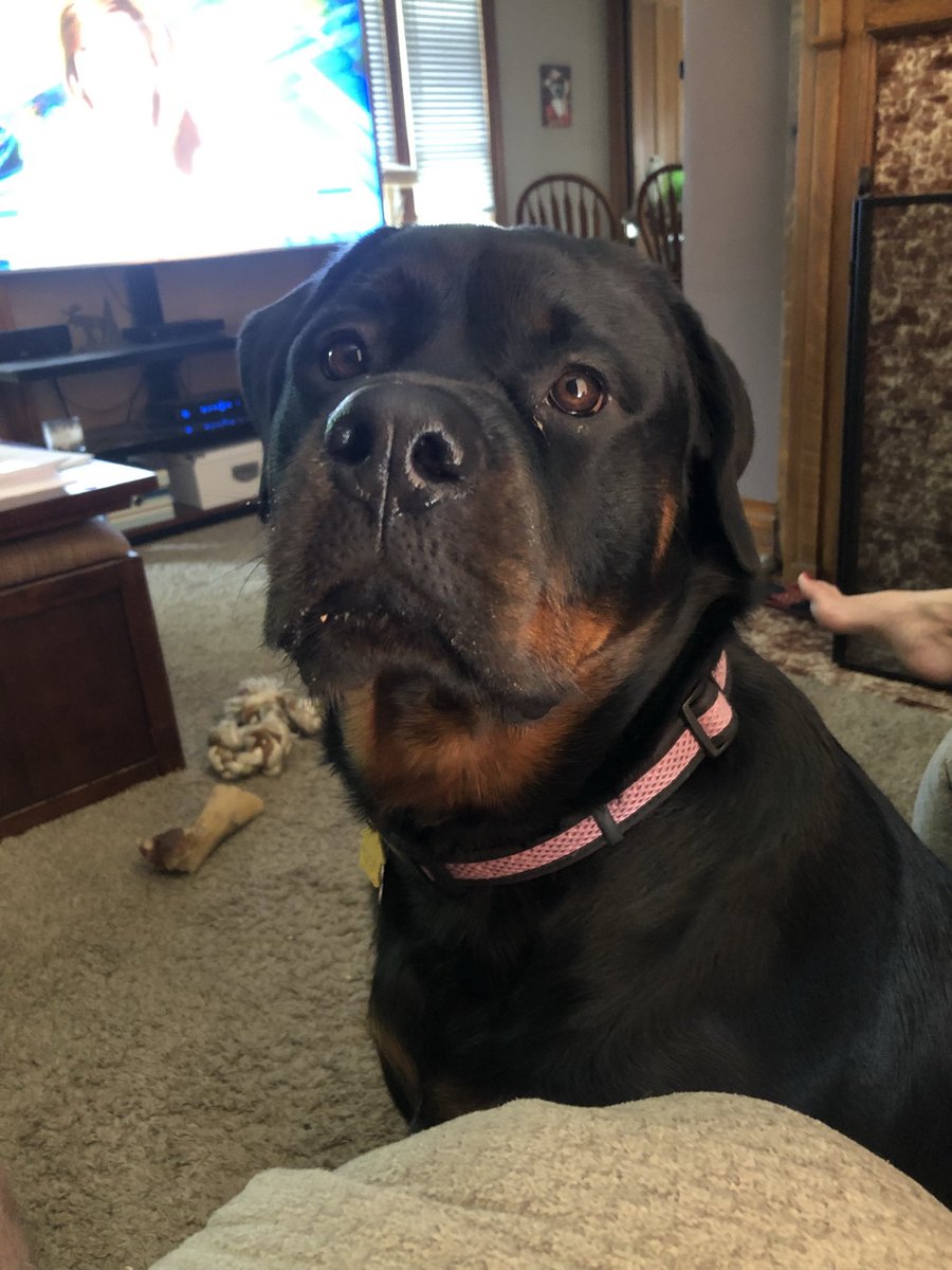 Brewer10Andy's tweet photo. @TheJFKReport Roxy https://t.co/zecj0ulhWB