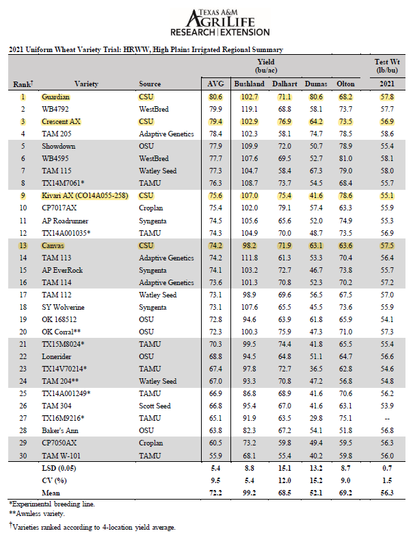 <a href="/PlainsGold/">PlainsGold</a> proving again to be
 "Genetics You Can Trust" in the Longhorn state