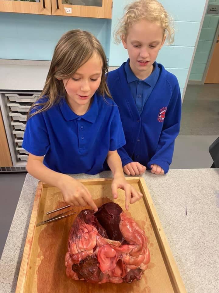 elizabethanac's tweet image. Thank you to everyone who came to spend their time with us at our Open Evening. We hope you enjoyed yourselves as much as we did and if you think of any more questions please don’t hesitate to contact us 😊