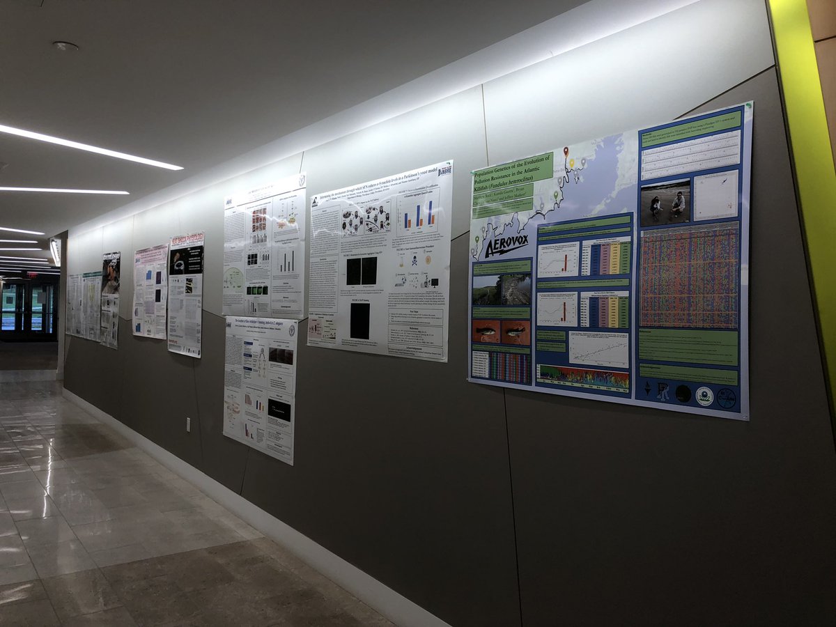 NAC Lab tweet media