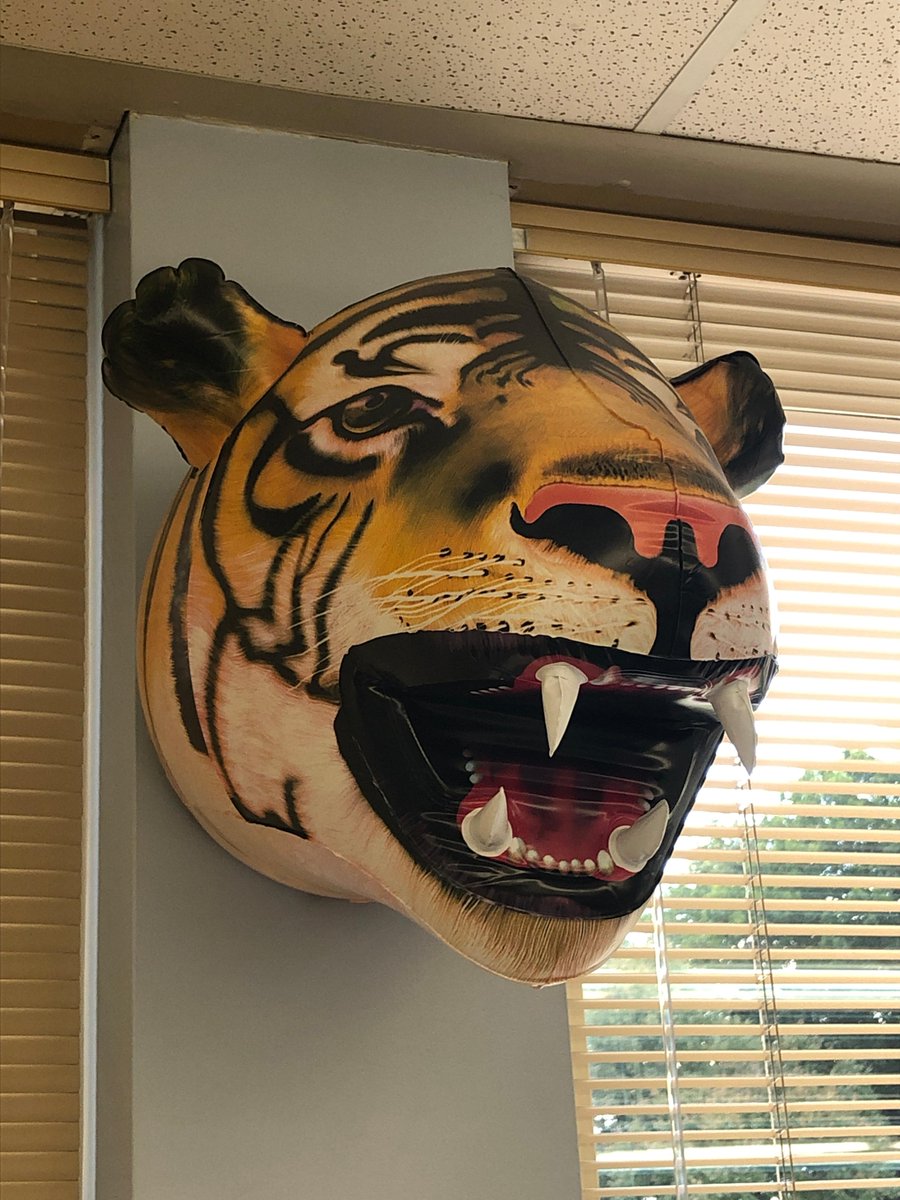 MiddleTenafly's tweet image. 