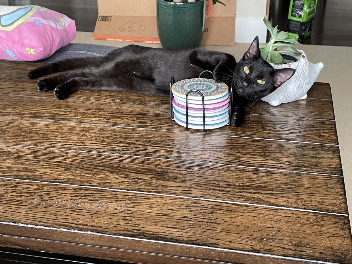 Draw me like one of your French girls.