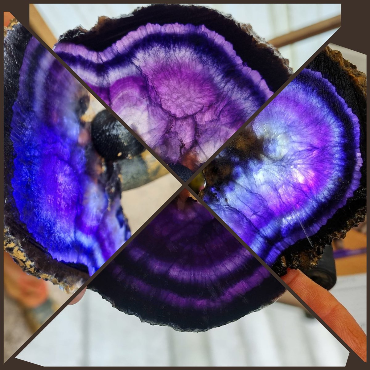 Treak Cliff Cavern tweet media