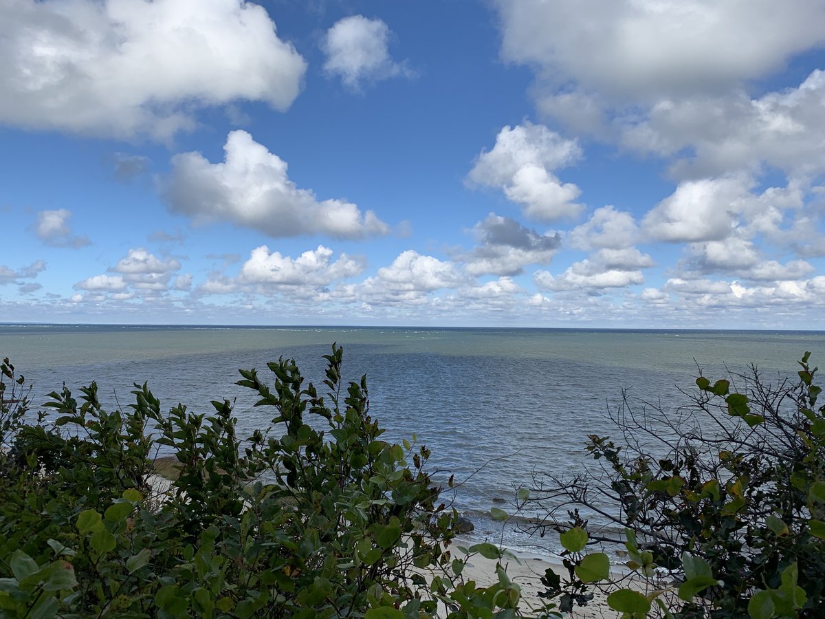 A foreshadowing...winter is coming. Brewster-Cape Cod "Foreshadowing is a literary device that writers utilize as a means to indicate or hint to readers something that is to follow or appear later in a story." #writingcommmunity #suspense #writerslife