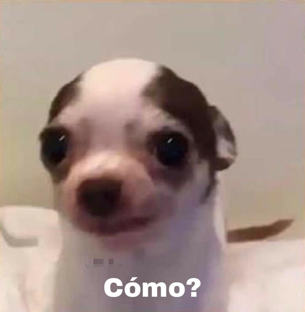 SuavesLomitos's tweet photo. *Alguien repitiéndome lo mismo más de 10 veces*

Yo:… https://t.co/lzn3MncCt2