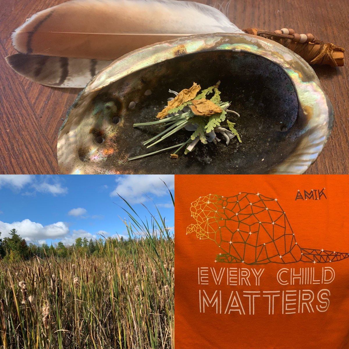 tbeau27's tweet photo. Today on the 1st #nationaldayfortruthandreconciliation the #beaufam avoided the #crowds downtown 2 b on the #land #proud 2 share the little knowledge I have w/ them #CBeau #RoBeau #SEBeau #everychildmatters #algonquin #atikamekw #firstnations #everychildmatters🧡 @beauchamplinds https://t.co/18OueYJmXt