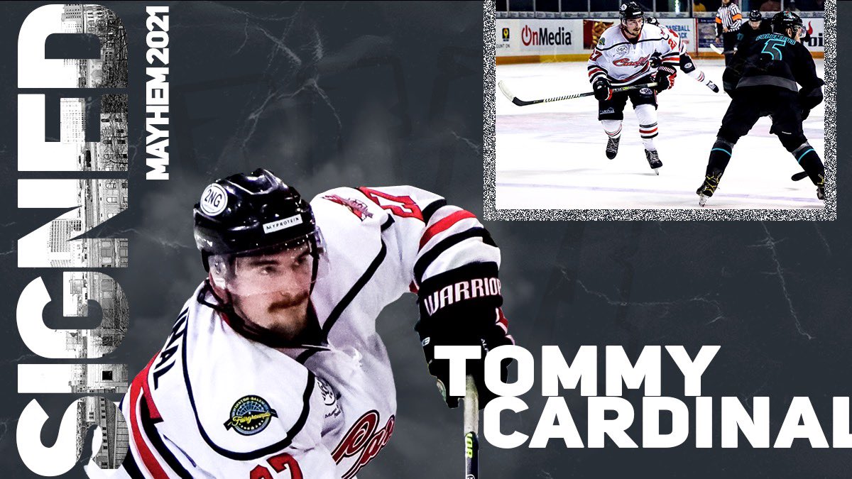 🚨 SIGNED: Welcome Tommy Cardinal to the team! 

Last name Cardinal + 🏒 = Flying Pucks to the 🥅 

#478Bound