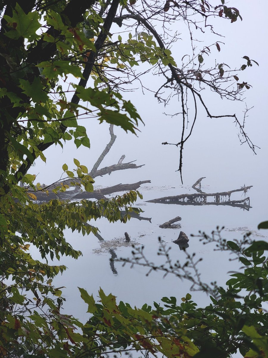 💧COMING•SOON💧There's something lurking in the water! Stay tuned for our newest episode. Coming soon!