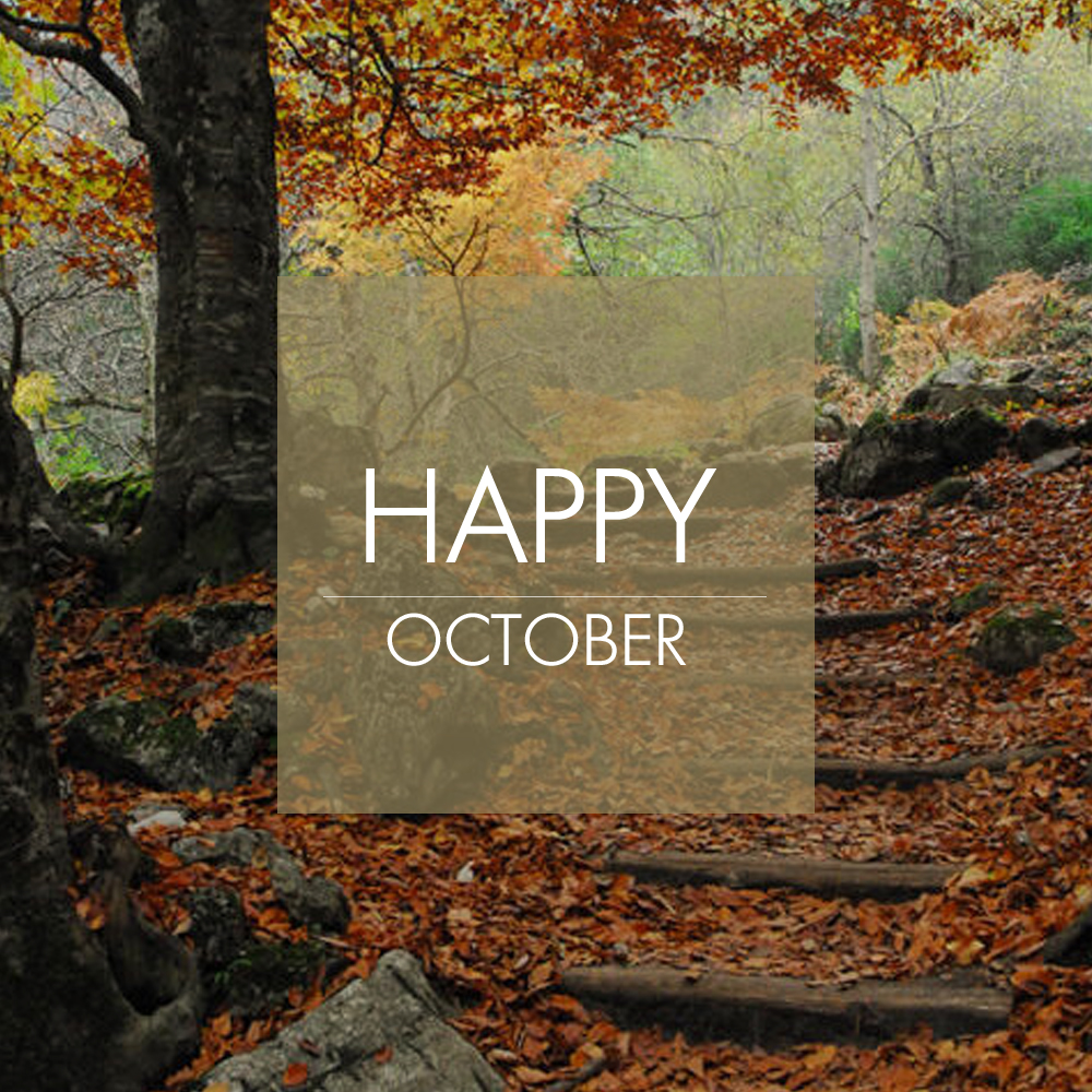 🍁Welcome October! Pieria is just so beautiful this season!
Check our offer here. hotel-cosmopolitan.gr
#hotelcosmopolitan #october