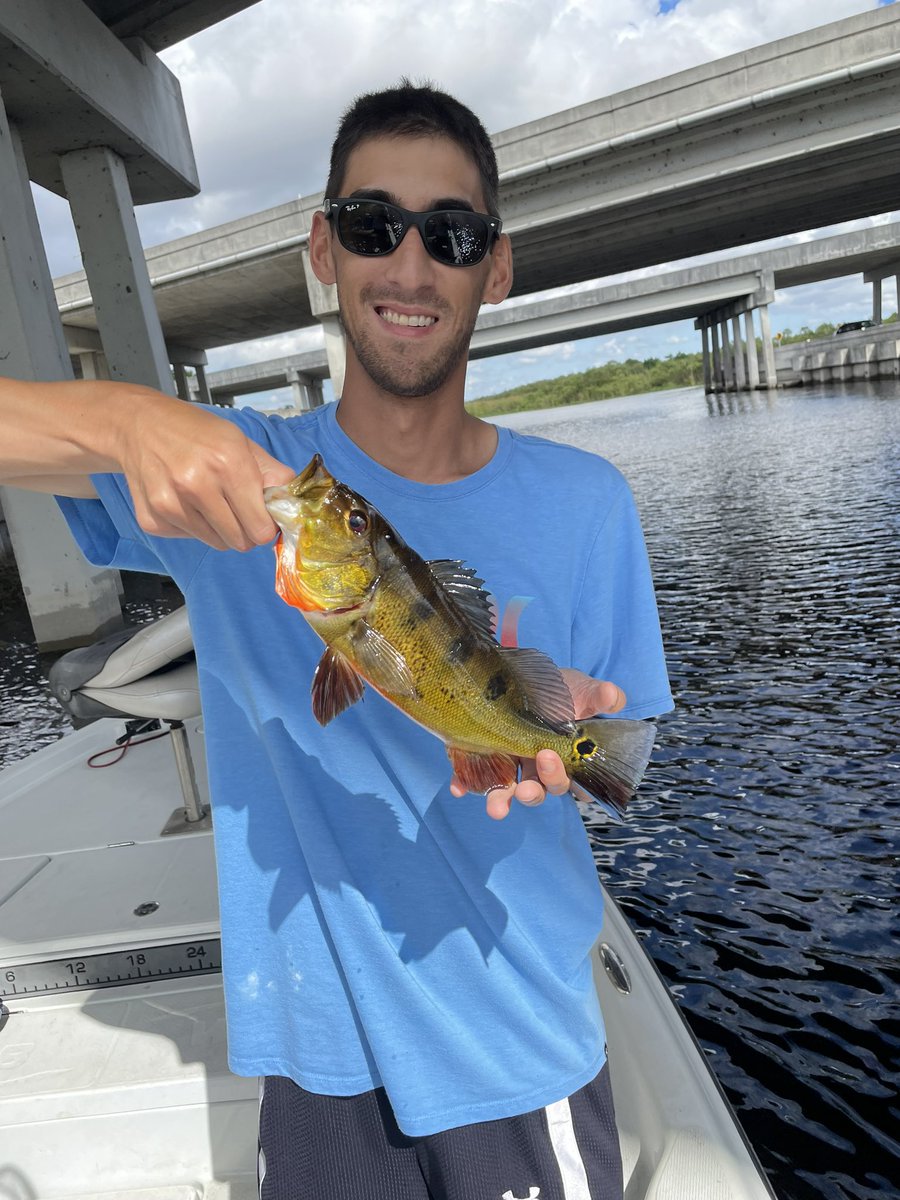 Apparently largemouth bass don’t bite year round in Fl. Peacock were still fun tho! https://t.co/9xC0nQ3D7V