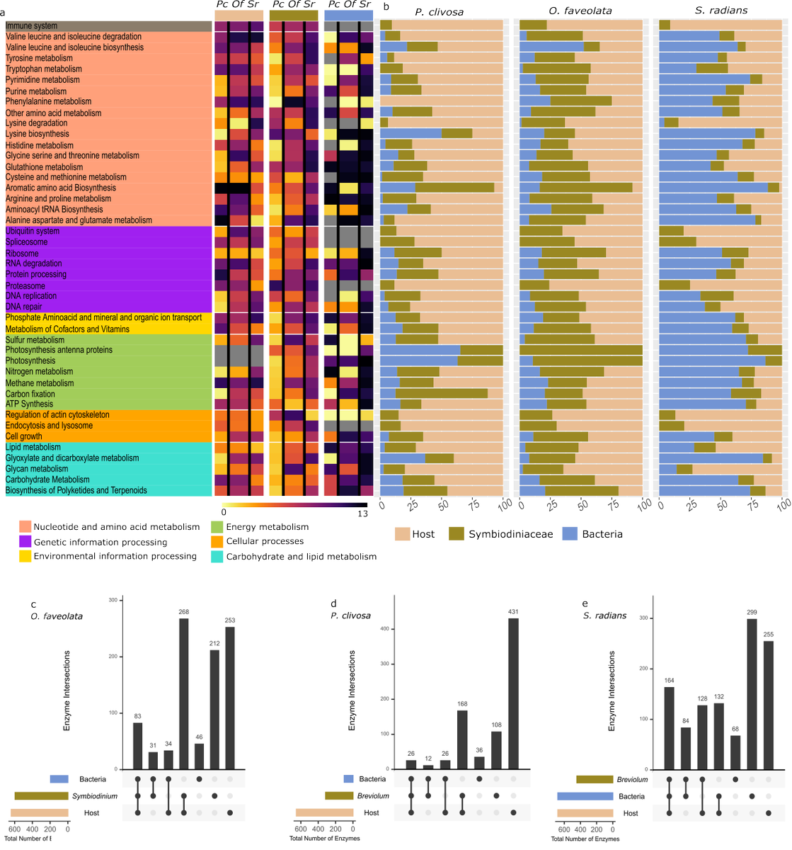 I am delighted to share my most recent study on the holobiont response to heat stress among multiple Caribbean coral species 🌊🥁. rdcu.be/cyGGM By performing a controlled thermal stress experiment over three divergent coral species to assess the metatranscriptome...🧵