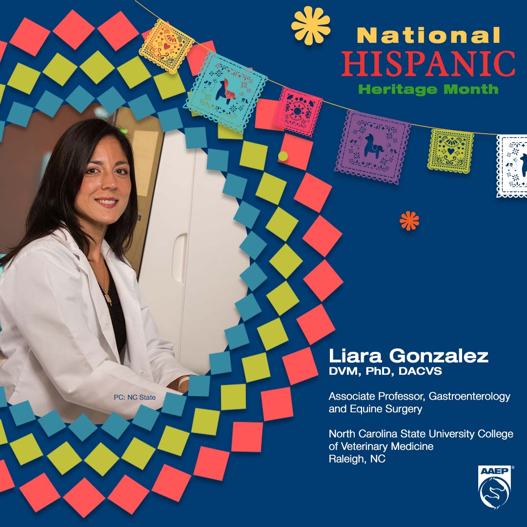 AAEPHorseDocs's tweet photo. As the AAEP honors #NationalHispanicHeritageMonth, we spotlight research trailblazer &amp; AAEP volunteer Dr. Liara Gonzalez. She is an associate professor of gastroenterology &amp; equine surgery at @NCStateVetMed, where she also leads the Intestinal Regenerative Medicine Research Lab. https://t.co/upka3mDyEx