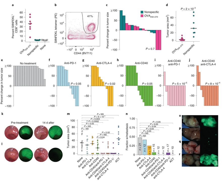 🔥🔥 ONLINE <a href="/NatureCancer/">Nature Cancer</a>: "Low #neoantigen expression and poor T-cell priming underlie early immune escape in colorectal cancer", a very cool study by <a href="/LabJacks/">Jacks Lab</a> &amp;Co

Don't miss it!😎👇
go.nature.com/39POvFK
rdcu.be/cyHdJ

#TumorImmunology #Immunotherapy