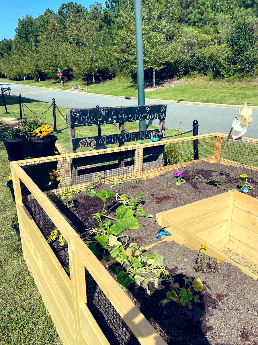 Jess Hardy tweet media