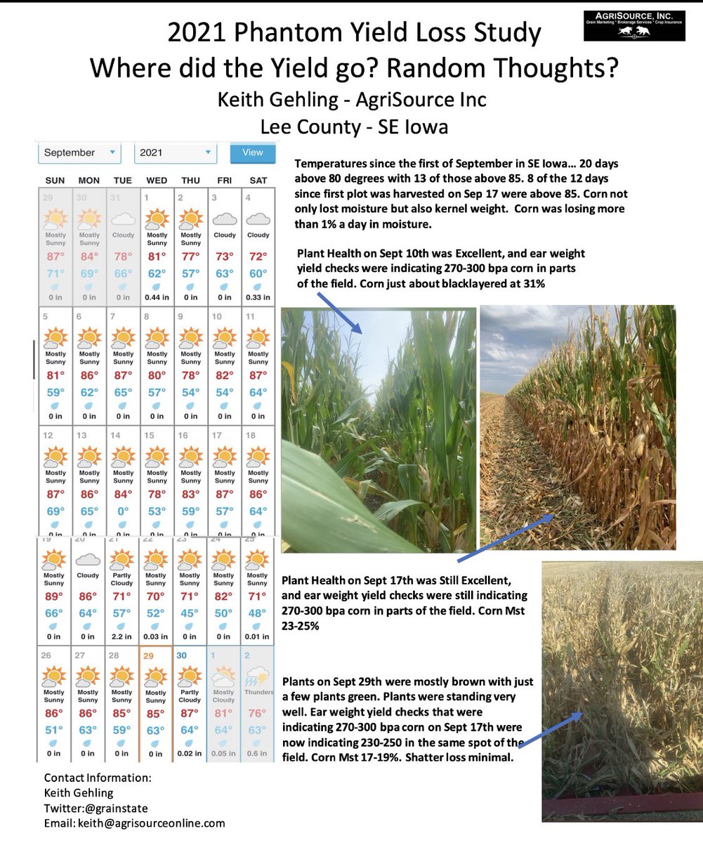 Where did the #corn yield go?   Part 2   255 bpa corn on 9-17-21 and 225-235 bpa on 9-29-21. 20-30 bpa #phantomyieldloss
