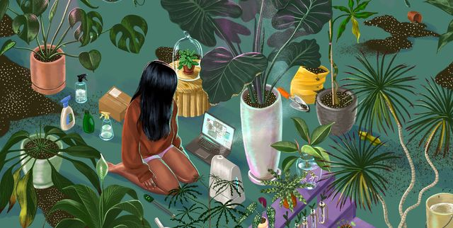 ICMSpeakers's tweet photo. "The comfort I derived from the plants made up for the discomfort I felt around people" writes @TanyaAuthor, on the solace she found in plants while writing #AssumeNothing, her critically acclaimed memoir on #intimateviolence. https://t.co/DOsaWAlLsv
#WeLoveOurSpeakers https://t.co/ADPtCHhKAw