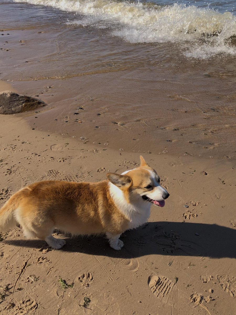 про деньги шутка конечно же)))