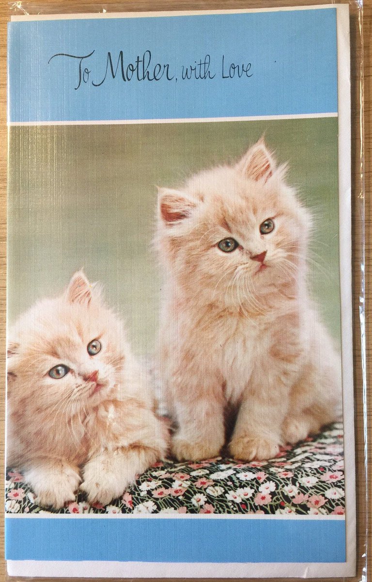 WatsonsVintage's tweet photo. The PURRFECT Birthday Card for your Cat Loving Mother in my #etsyshop : EXTREMELY Rare Unused Vintage Circa 1950s 'To Mother, with Love' Birthday Card -Cute Cat Photo-Card - Sweet, Sentimental Verse #CatLover https://t.co/ldqij7V5OW #1950s #MotherBirthdayCard #CatPhotoCard #Cute https://t.co/fL2fhpF7Lo