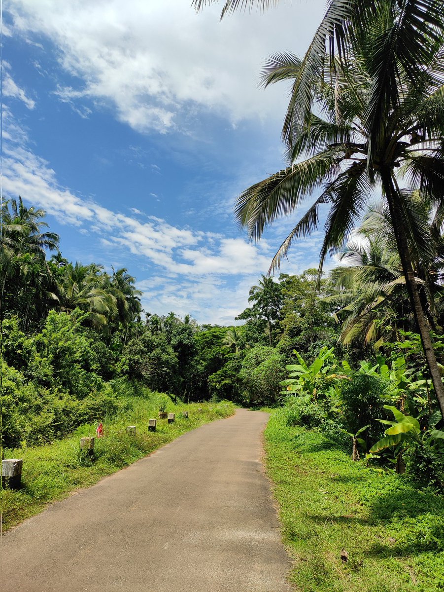 SubiSree11's tweet photo. #Nature https://t.co/GvuZWfuOty