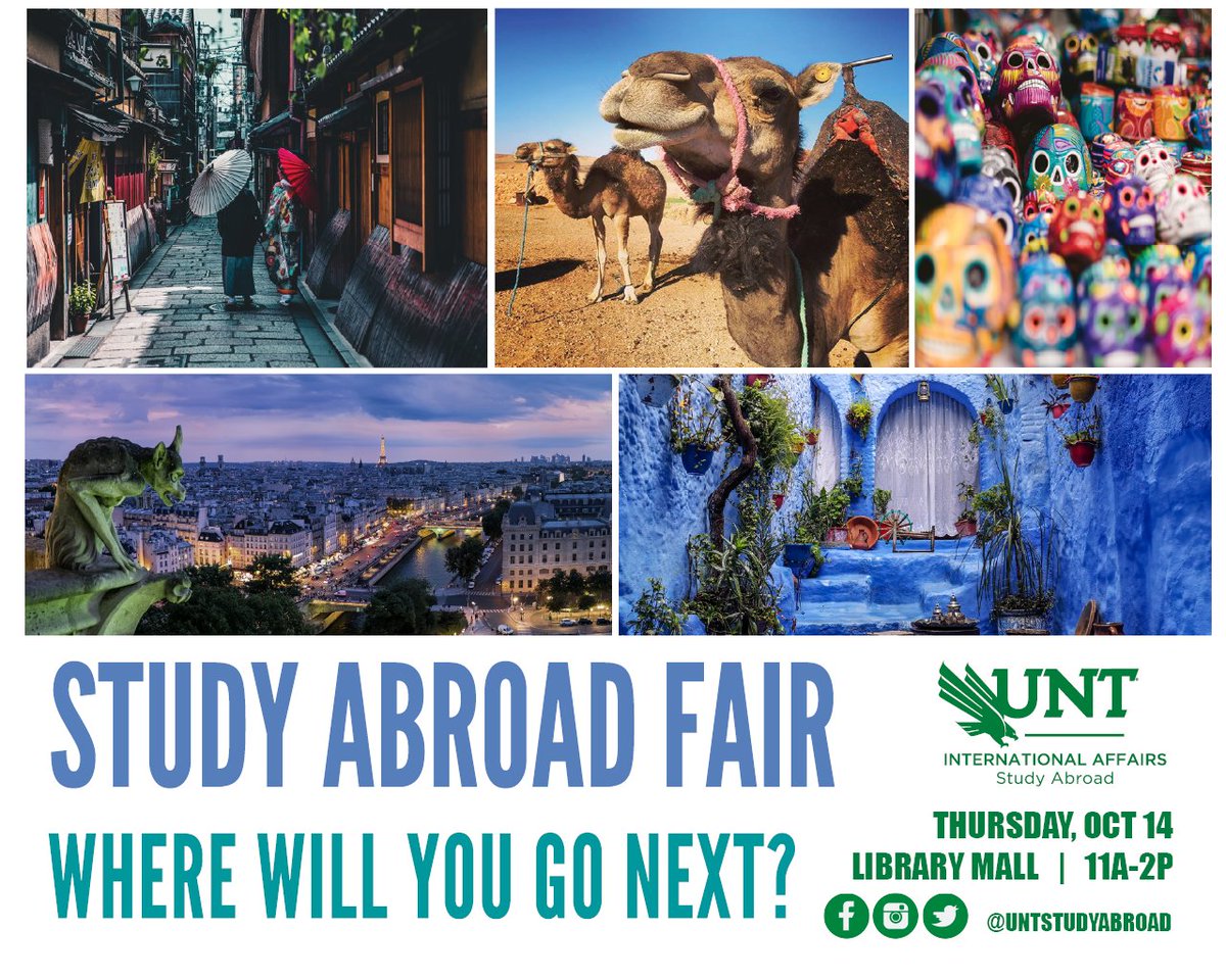 UNT Study Abroad tweet media