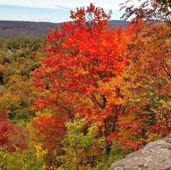 Are you ready for Columbus Day weekend? Join AMCNYNJ on a fall backpacking trip in the Catskills Oct 9-11. You'll hike the Pine Hill W. Branch Trail that offers some of the best views in the Catskills. Fall foliage will make this trip even more beautiful. ow.ly/sfKs50GjAZU