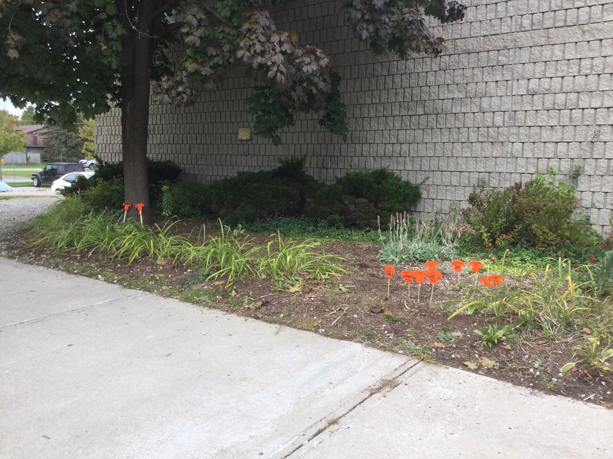 WestwoodUGDSB's tweet photo. #ssthink we should share our message & learn beyond the walls & to the community. The jr division shows support & honours #OrangeShirtDay2021 #NationalDayforTruthandReconciliation day. We will continue to learn throughout the year & beyond @WestwoodUGDSB @ugdsb @UGExperiential https://t.co/UA3aTjE4oq