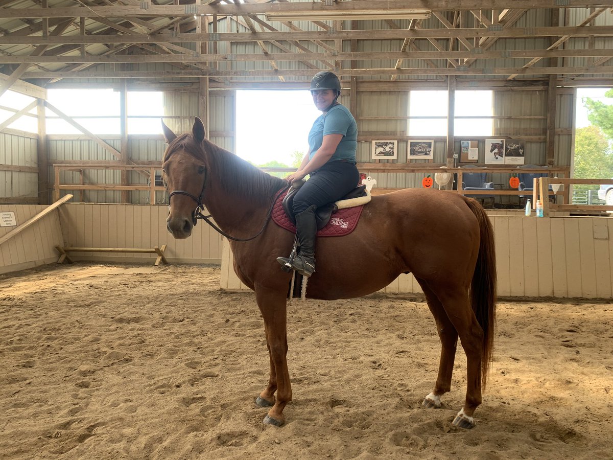 CANTER Kentucky tweet media