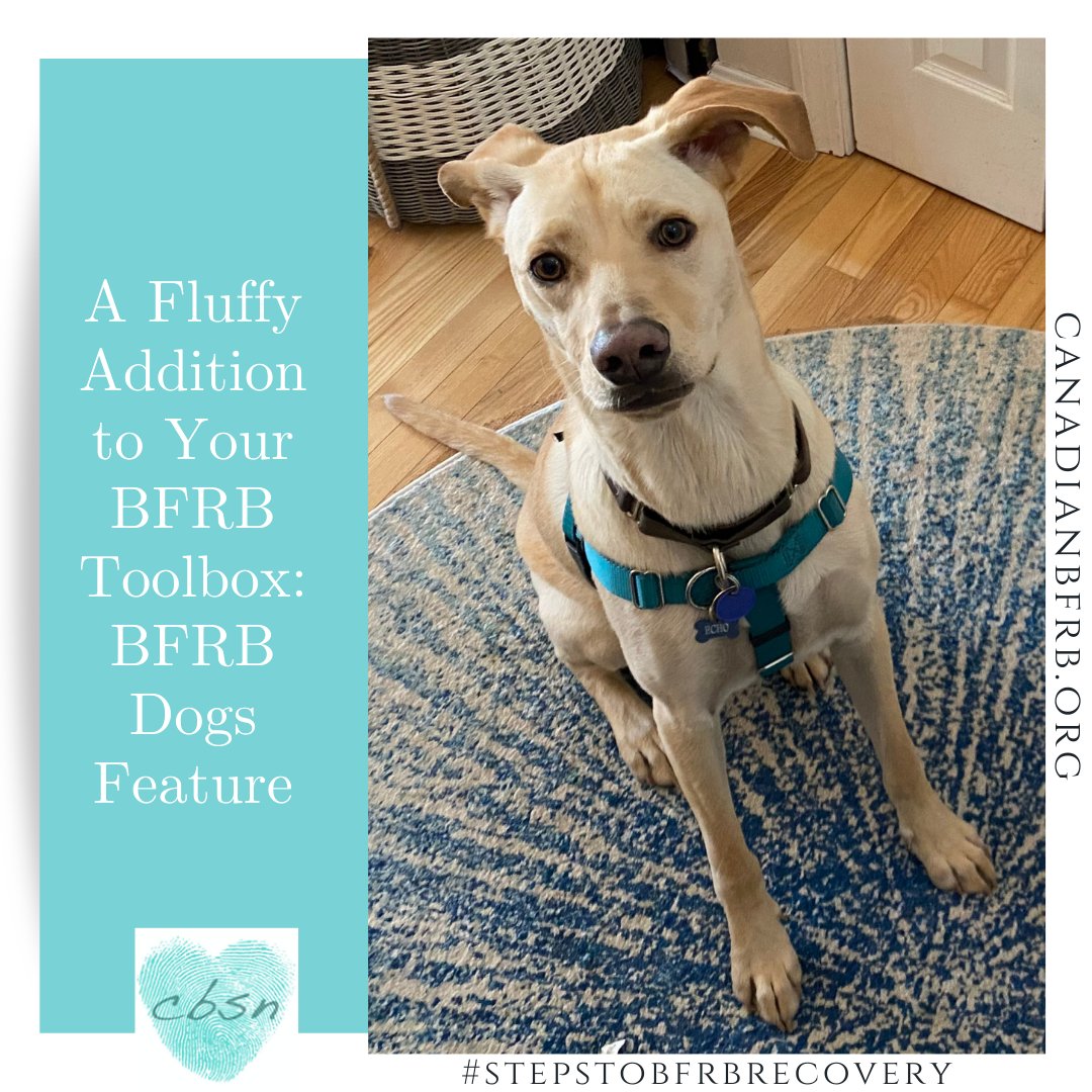 CanadianBFRB's tweet image. There are many tools and tactics you can use for #bfrbrecovery. What about a dog?

Check out this feature from earlier this year: bit.ly/BFRBdogsfeature

Join the conversation: do you think a dog could help with your BFRB?

#stepstoBFRBrecovery #bfrbweek2021 #bfrbweek #bfrbdogs