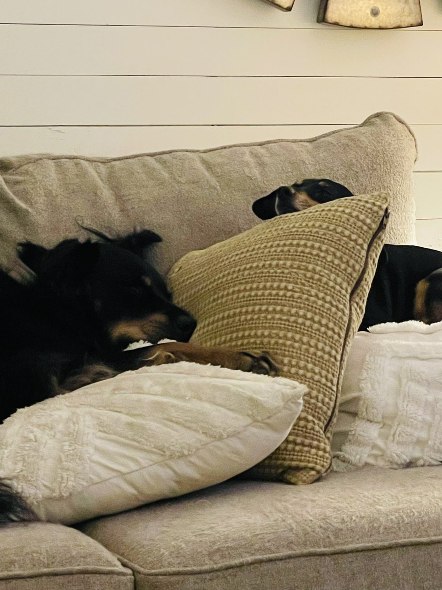 phe_hi's tweet photo. Sleepy babies… night fam ❤️ https://t.co/MaG7QilBjh
