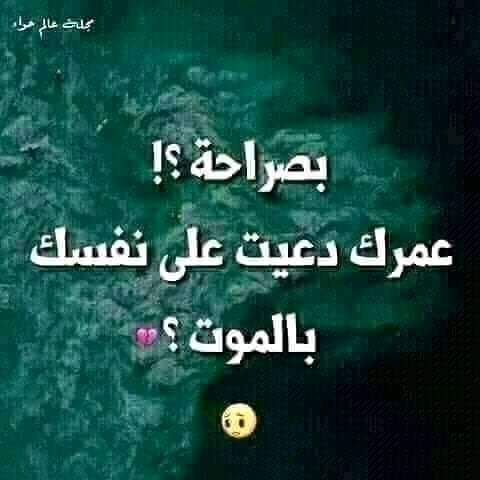 م.ح.م.د. (@algokr80631463) on Twitter photo 