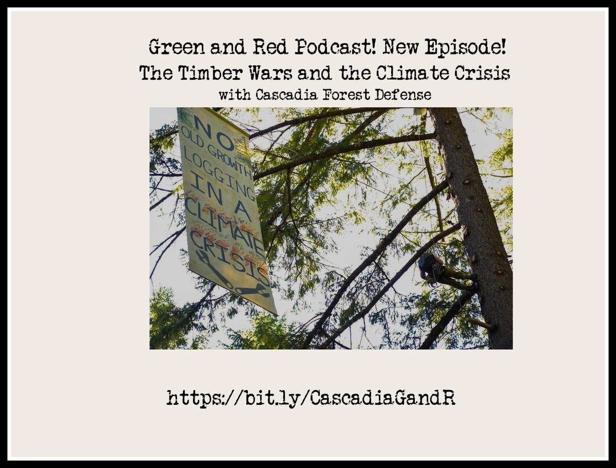 PodcastGreenRed's tweet photo. ~NEW EPISODE~
Oregon’s Timber Wars &amp; the #ClimateCrisis w/ @CascadiaFD. 
We get into the politics, history &amp; direct action of #forestdefense in the Pacific Northwest. 
🎙 https://t.co/4Gdx1dBaEt
#protectoldgrowth #savefairycreek https://t.co/VjoqWOYv6A