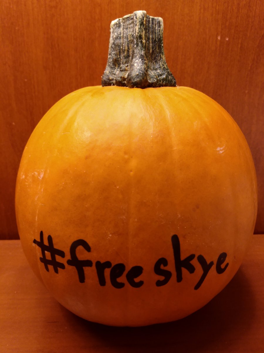 Starlighttonig1's tweet photo. Made by a kid. You can find it on Instagram! #freeskye #freeskyenow https://t.co/xowqpGgA3e
