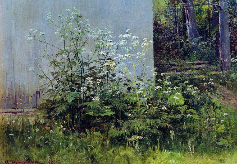 artistshishkin's tweet photo. Flowers at the fence https://t.co/1a9YedaSKu #realism #shishkin https://t.co/pG6V3X31Qo