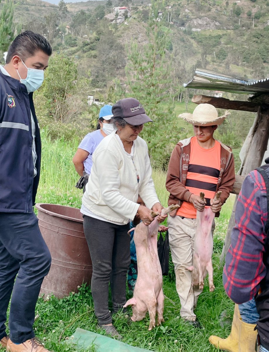 Jefatura_Chorde's tweet photo. Esta tarde nuestro jefe político @Carlosorellana9 acompaño a los técnicos de @AgriculturaAzu a visitas técnicas en #Porrion de #Chordeleg llegamos con ayudas como:
Castrado de chanchos, Crianza de animales menores, Asistencia en Apicultura.
#GobiernoDelEncuentro @LassoGuillermo https://t.co/dieoTFQdxV