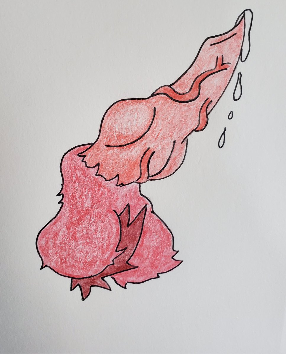 demonwolf4000's tweet photo. Knot. That is all 

#furryart #gayartist #art #gayart #sketch #gay #furry #proudfurry
#goodvibes #goodday #gayreader #gayguy #gayfurry #needtodraw #artblock #geek
#gaygeek #gamer #gaygaymer
#instafur https://t.co/C1SRRlji4t