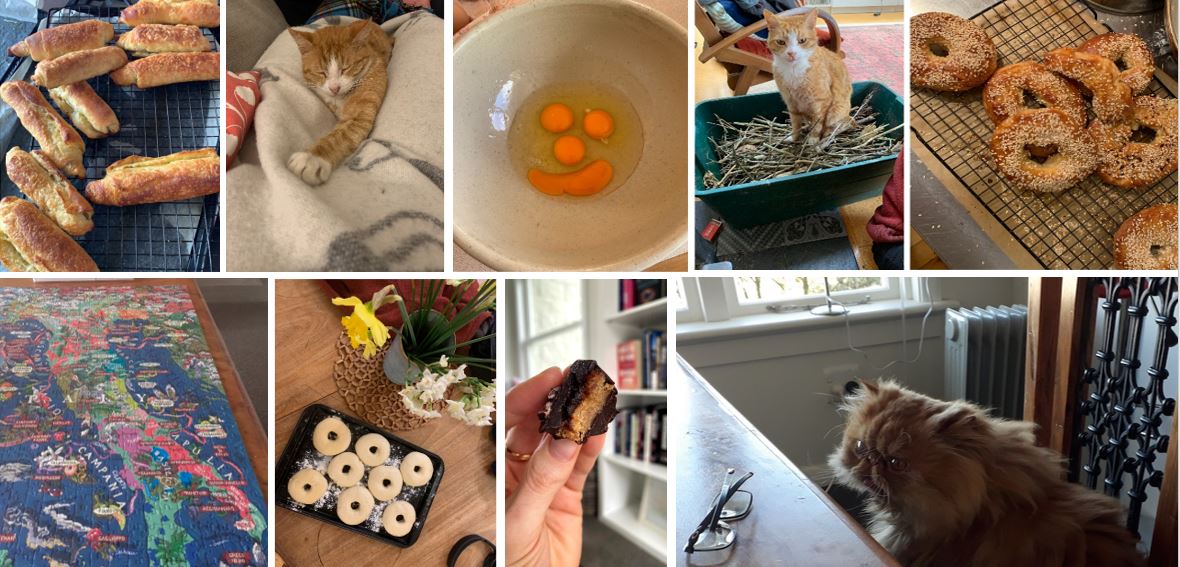 Pets, baking and puzzles! It's Mental Health Awareness week and here at the Digital Council we've been sharing our coping mechanisms for lockdown. Check in with friends and family, because it’s important we remember people are at the heart of all things digital.