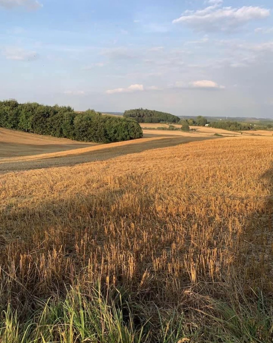 AmyMaloney16's tweet photo. Please help us stop 3000 houses being built on Hucknall’s last piece of green belt. Such a precious space that we’ve never needed more. Please support us in our battle to save our countryside 🌳💚 @ClarenceHouse @BBCCountryfile @ChrisGPackham #saveourgreenbelt #savewhyburnfarm https://t.co/v88wl9qhHc