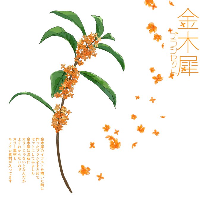金木のtwitterイラスト検索結果