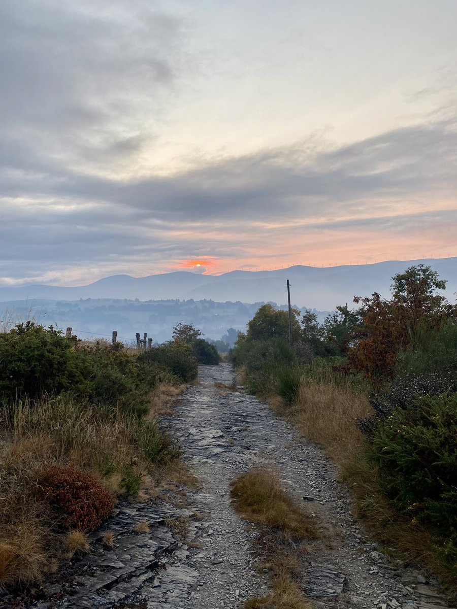 lidiaprts's tweet photo. Encara no supero les sortides de sol que he vist aquest estiu, els camins emboirats, el silenci de la natura… 💚 https://t.co/cO1ZarzZwX