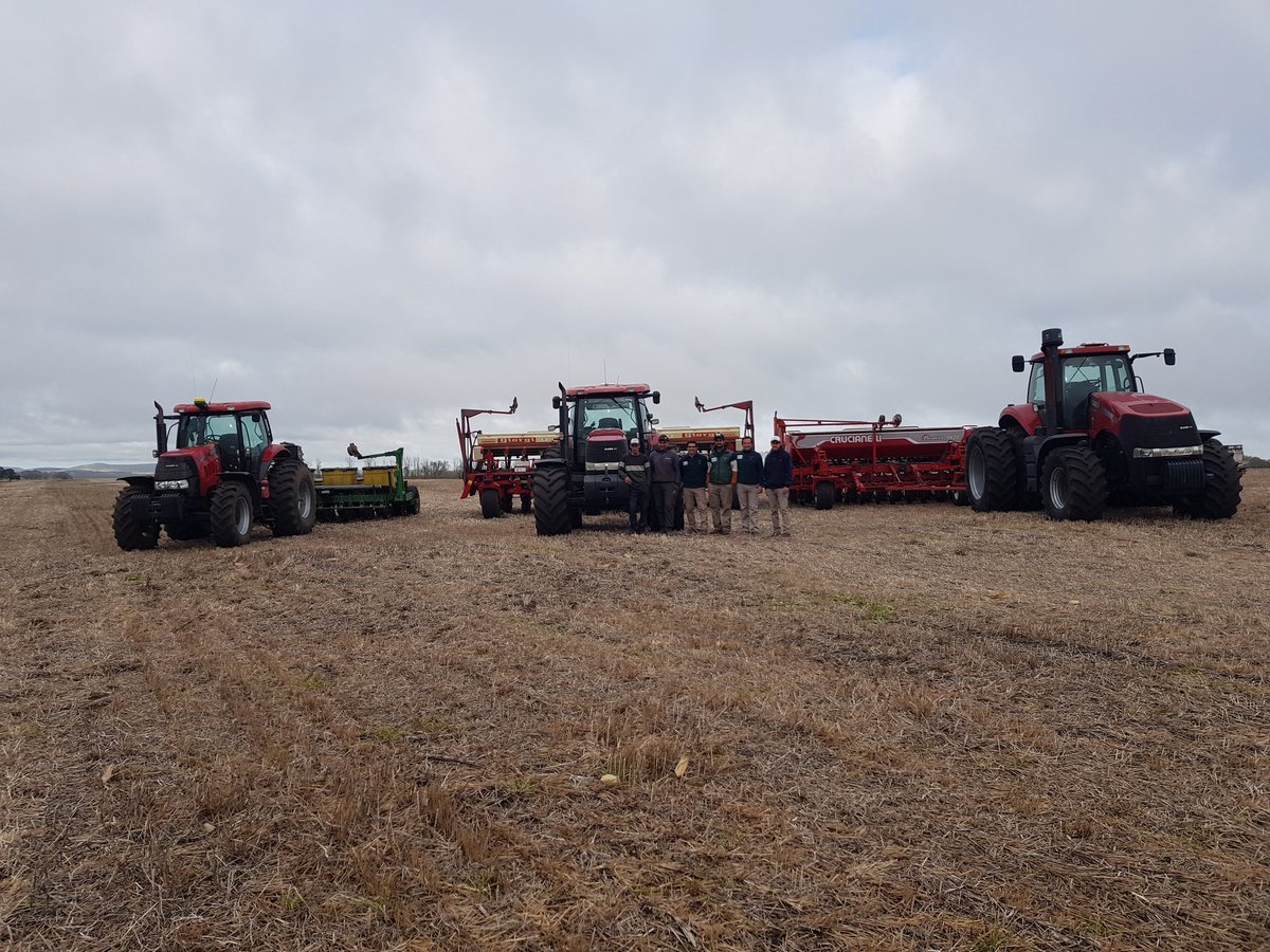 Día de chequeo  presiembra  con excelente  resultados 
Giorgi P8000 con sistema Monosem calificó con 10
JD 710  con Precision  planting califico con 8 
Crucianelli  bien pero hay que ajustar tamaño  de placa
Gracias <a href="/rmpeck2012/">Lic.Ricardo Martínez Peck</a> por la ayuda y tu visión .
Est.San Lorenzo Tandil
