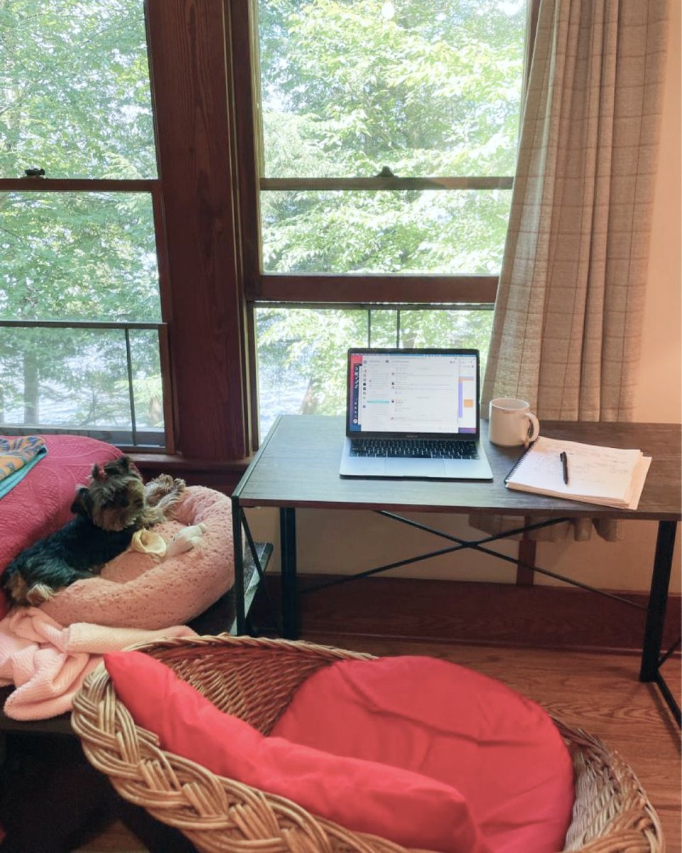 Dynamo Events tweet media