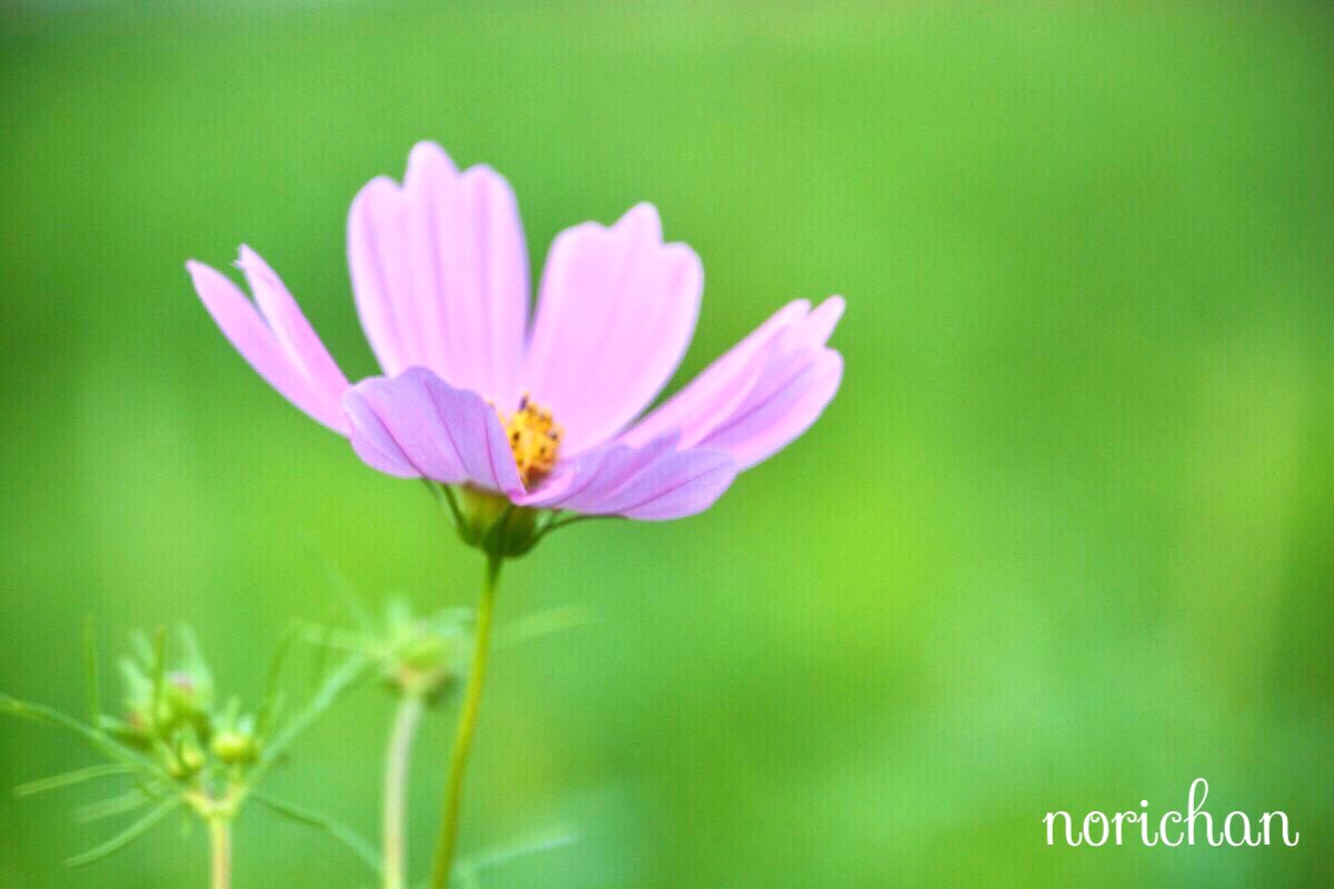 ko528no's tweet photo. おはようございます

今月もよろしくお願いします

平穏無事な1日でありますように https://t.co/KDNanC76zC