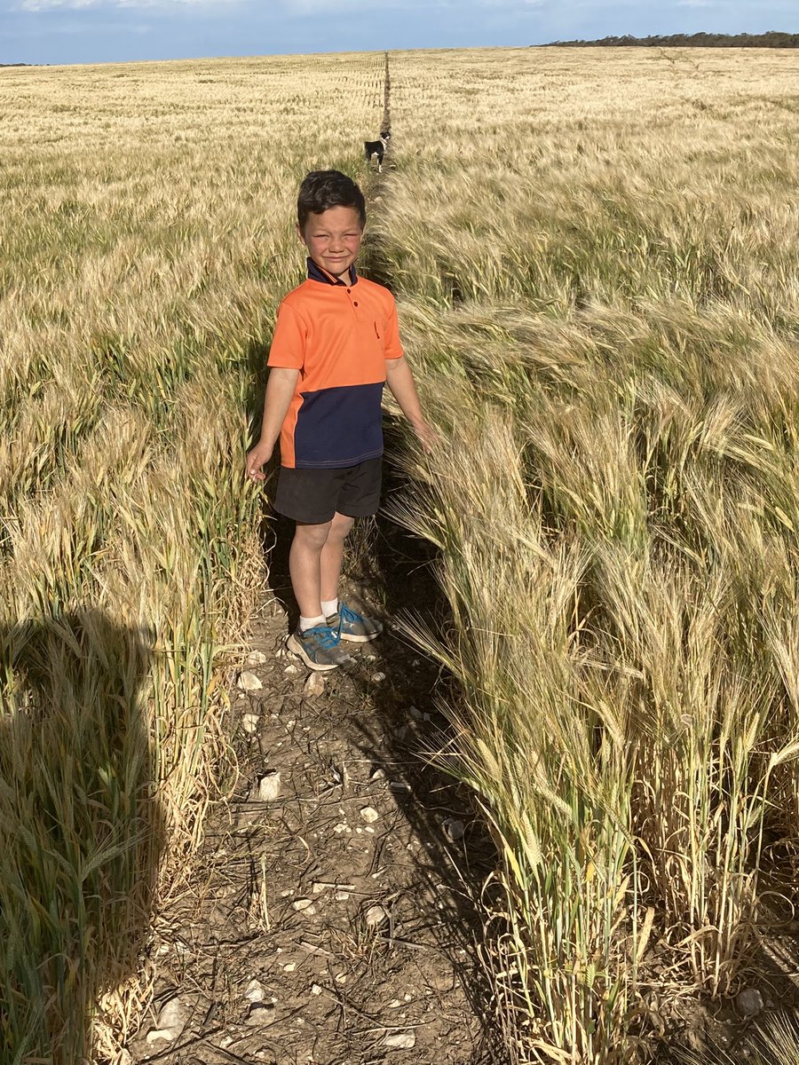 Roger Lienert tweet media