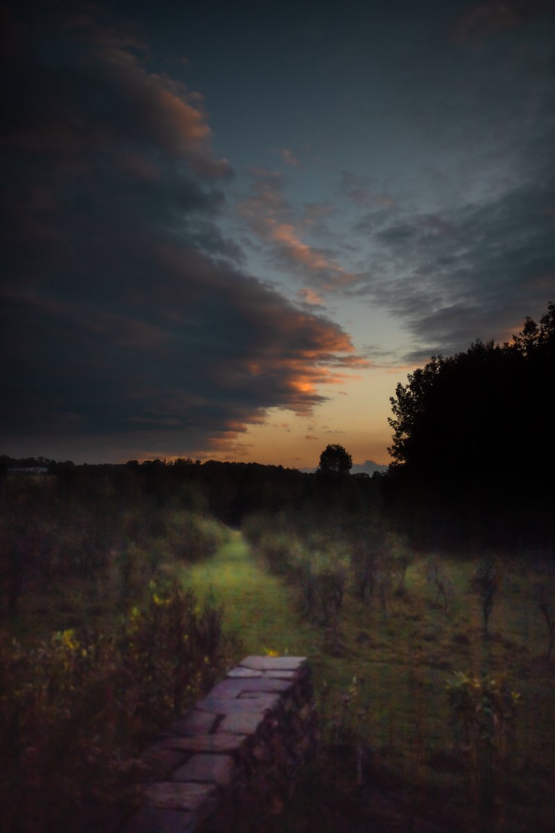 fotogosaurus's tweet photo. last light https://t.co/dZ385YnWqC #VT #Vermont #NewEngland #sunset #lilacField #lastLight #sky #landscape #SkyScape #LandscapePhoto #LandscapePhotography #moment #Clouds #dust #twilight #inBetween #transition #end #Beginning #Canon #StoneWall #OutInTheField #Field #moment https://t.co/GL6LmqXpYc