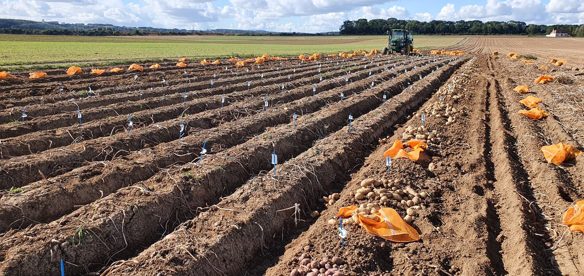 Comptoir du Plant tweet media